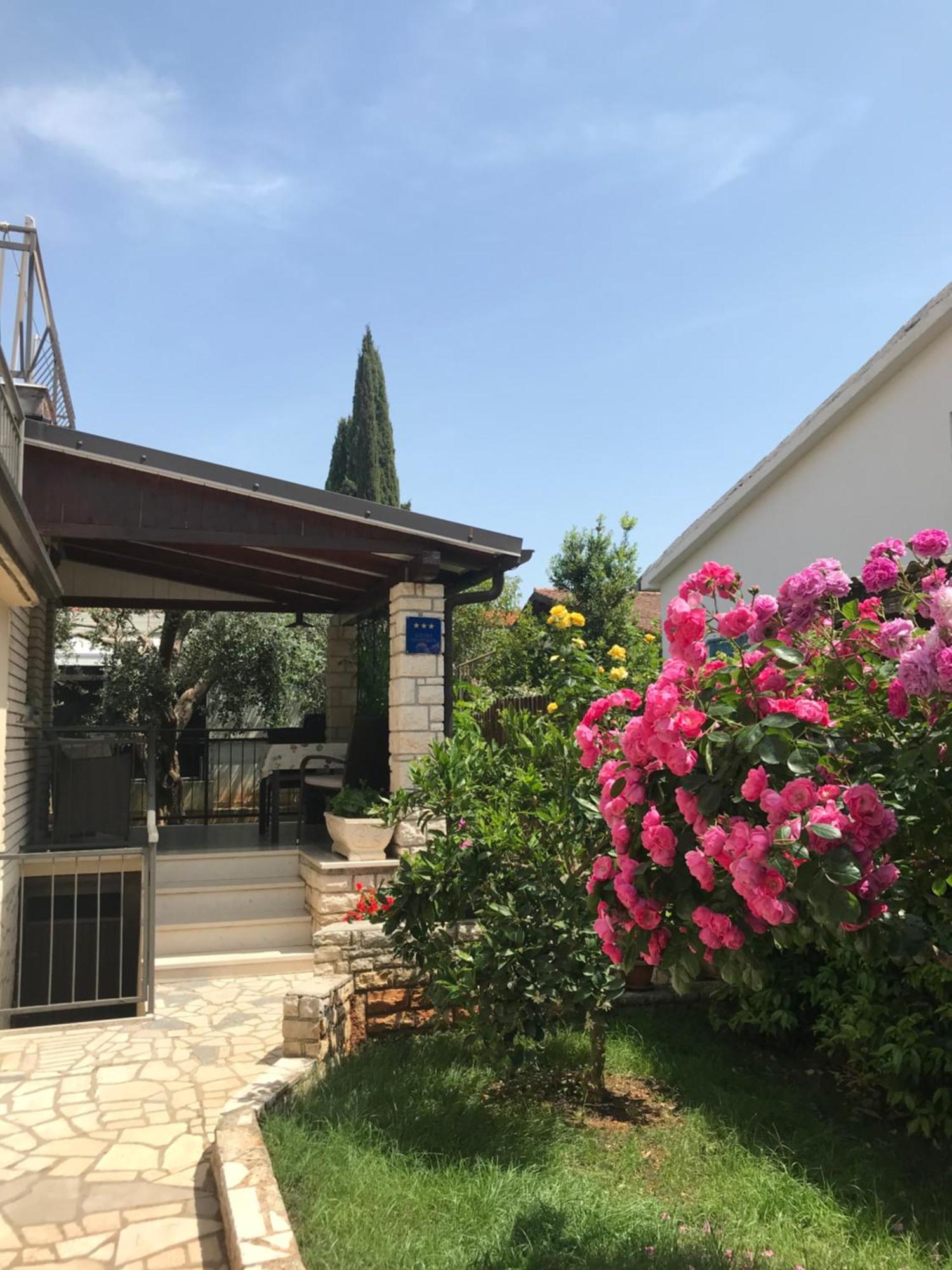 App Sorgo Apartment Novigrad Istria Exterior foto