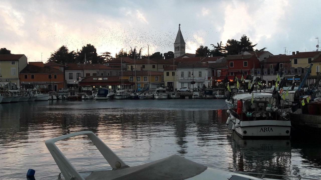 App Sorgo Apartment Novigrad Istria Exterior foto