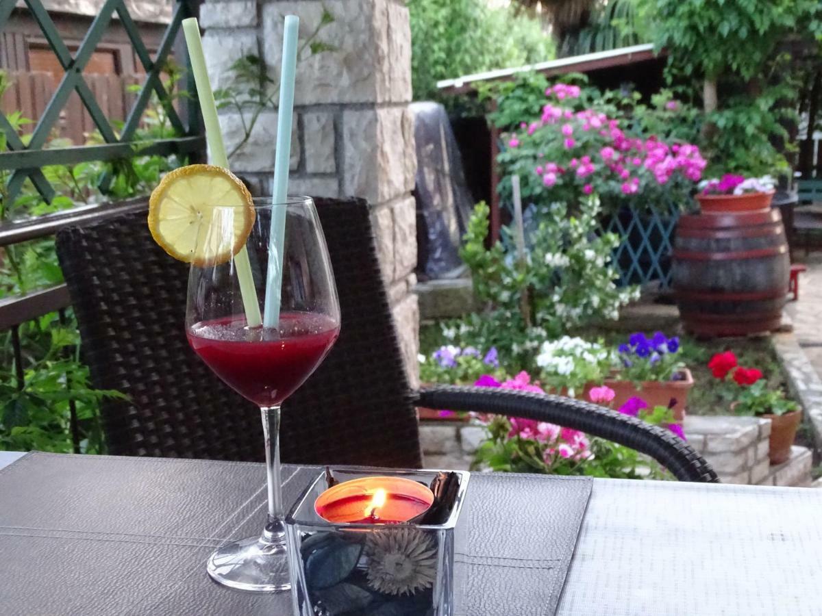 App Sorgo Apartment Novigrad Istria Exterior foto