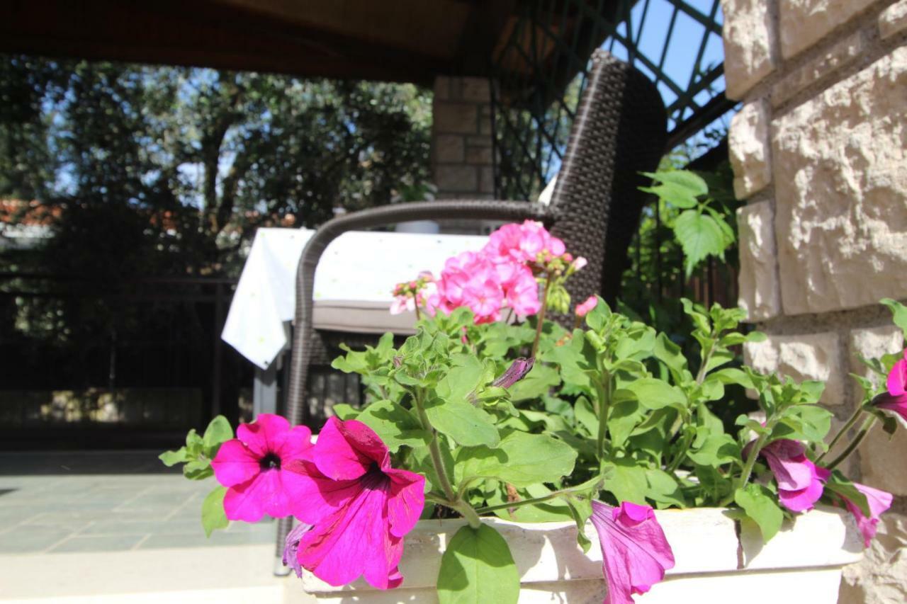 App Sorgo Apartment Novigrad Istria Exterior foto