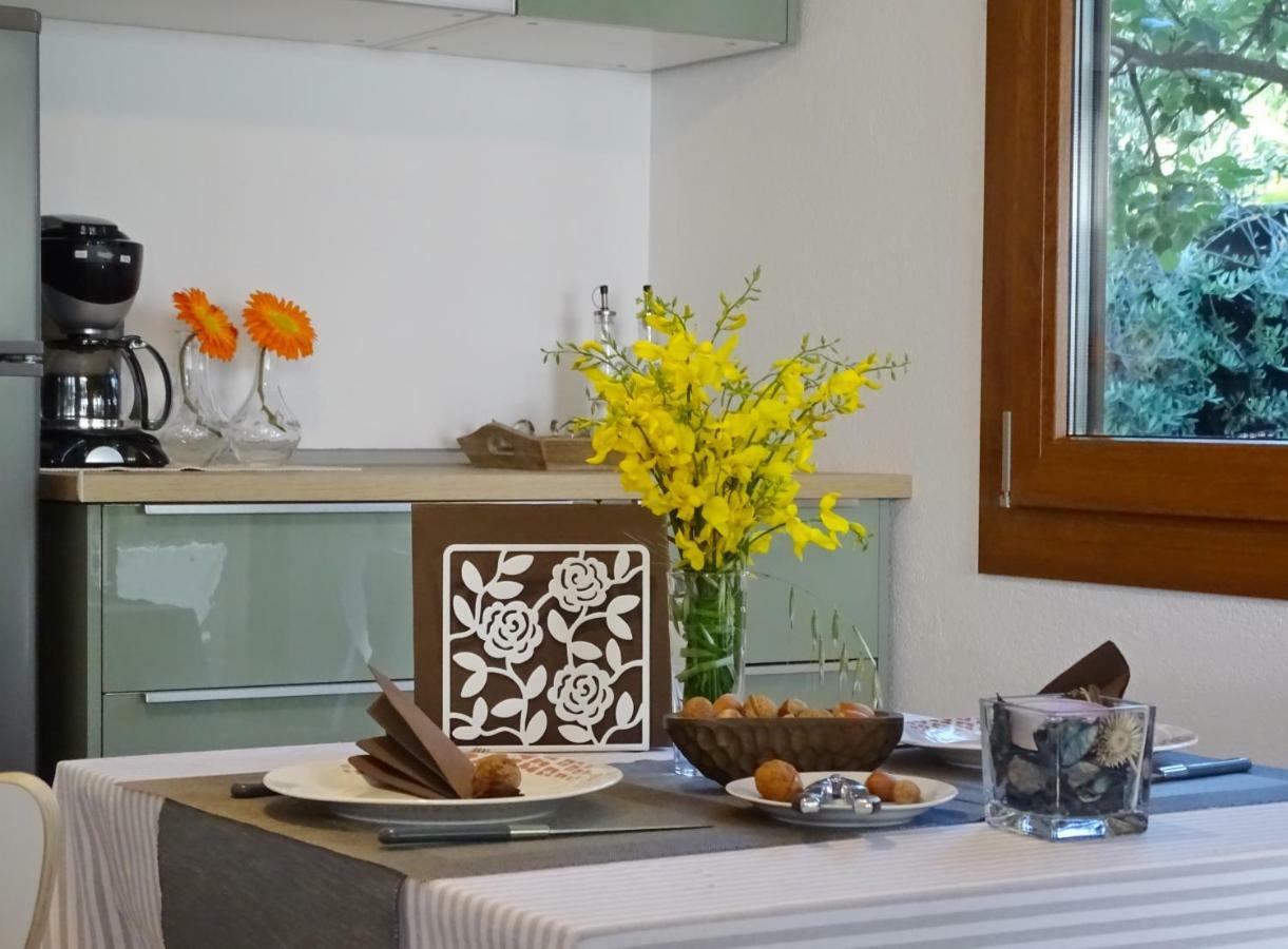 App Sorgo Apartment Novigrad Istria Exterior foto
